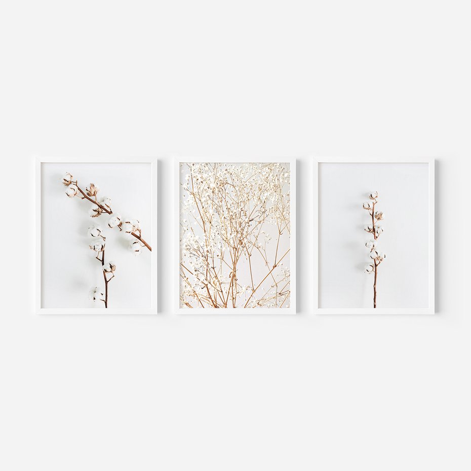 Zestaw obrazy w ramie 50x70 galeria - Gipsówka, bawełna, kwiaty, susz - rama biała