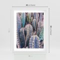 Plakat w ramie 40x50 - Kaktusowy Raj - kaktusy, dużo kaktusów - rama biała