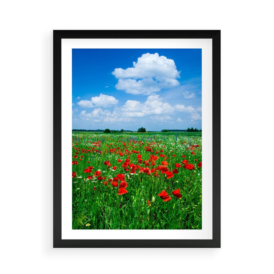 Plakat w ramie 50x70 - Kolorowa łąka pełna maku - łąka, maki - rama czarna