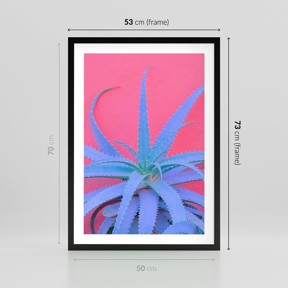 Plakat w ramie 50x70 - Piękno Pustyni - kaktusy, liście - rama czarna