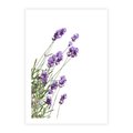Plakat bez ramy 30x40 - Delikatny Urok - lawenda, kwiaty