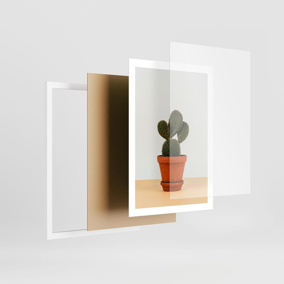 Plakat w ramie 50x70 - Kwiatowy taniec kaktusa - kaktus, kwiat - rama biała