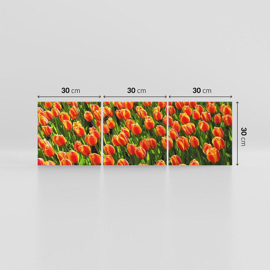 Obraz na płótnie 90x30 - Urok tulipanów piękno kwiatów - tulipany, kwiaty