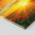 Obraz na płótnie 80x80 - Magia zachodu słońca na łące z makami - łąka, zachód słońca
