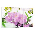 Obraz na płótnie 120x80 - Orchidea w SPA - spa, orchidea
