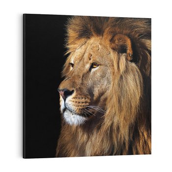 Obraz na płótnie 70x70 - Władca Dzikiej Przyrody - lew, król