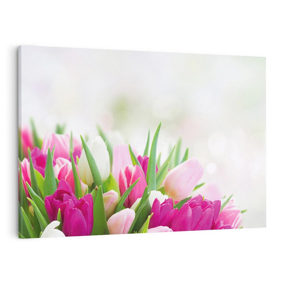 Obraz na płótnie 100x70 - Tulipany w pełnym rozkwicie - tulipany, kwiaty