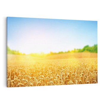 Obraz na płótnie 120x80 - Żyzne Pola - pole, pszenicy