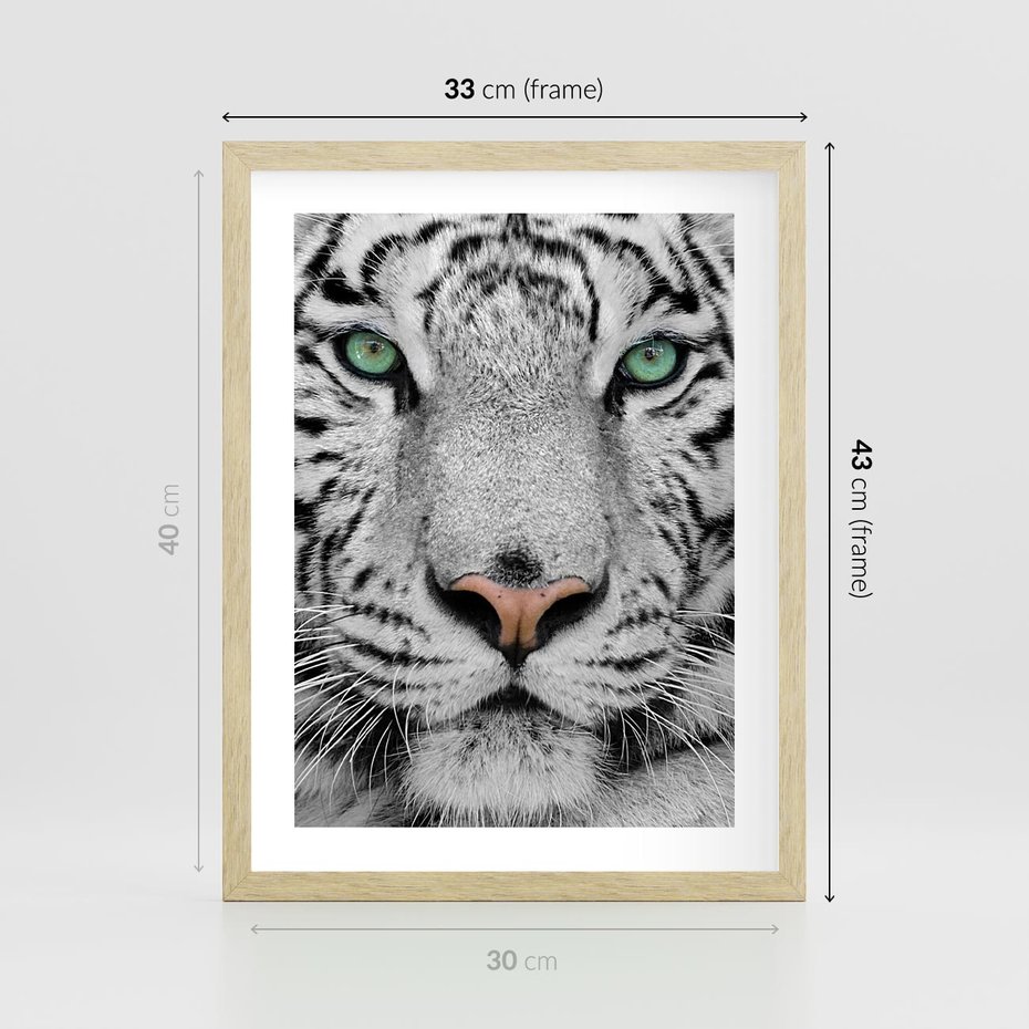 Plakat w ramie 30x40 - Magia Białego Tygrysa - biały, tygrys - rama drewno