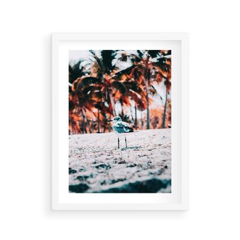 Plakat w ramie 40x50 - Tropikalna Uroda: Plaża z Mewą - tropikalna plaża, mewa na piasku - rama biała