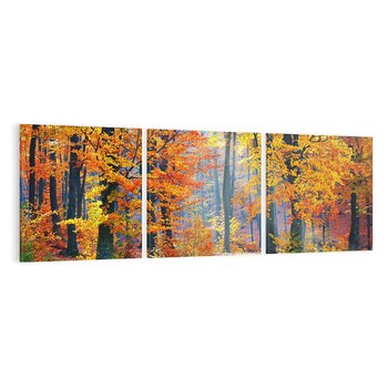 Obraz na płótnie 150x50 - Jesienny taniec lasu - jesień, las