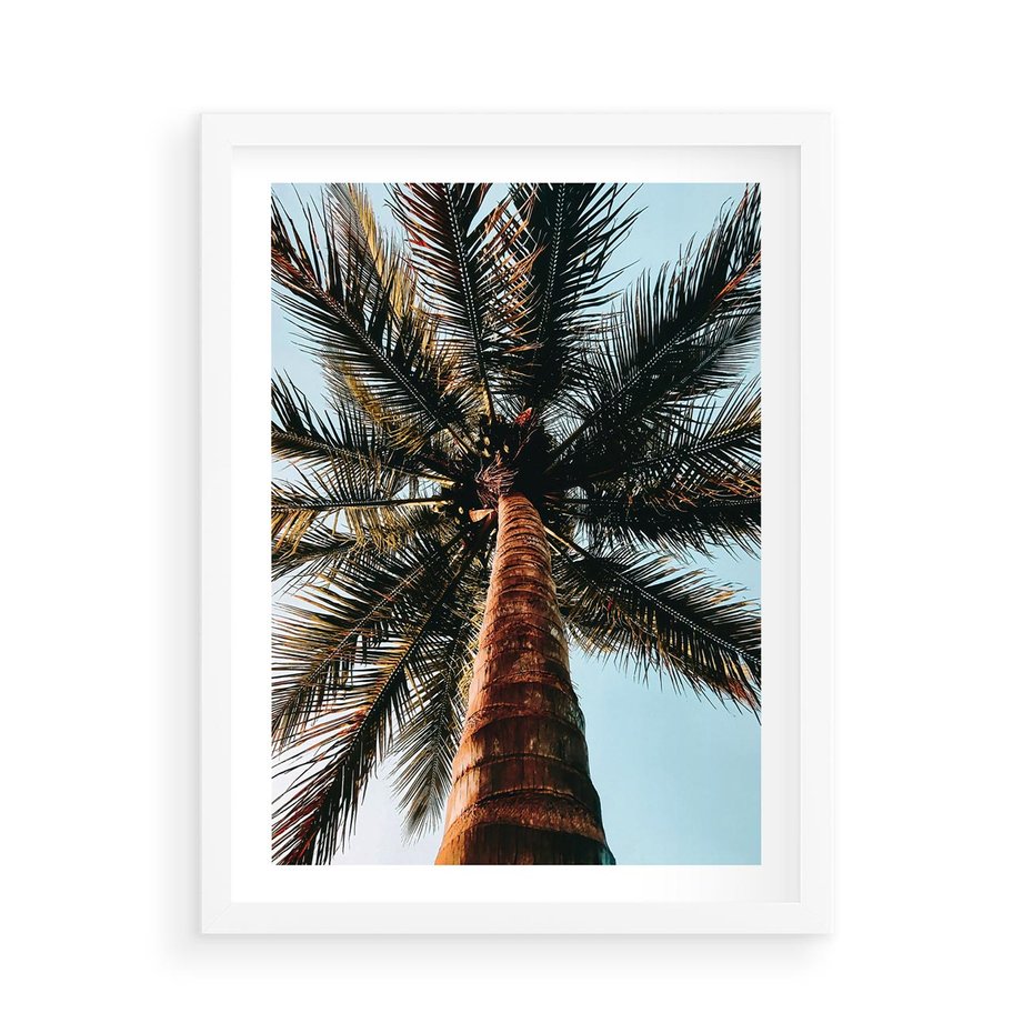 Plakat w ramie 50x70 - Rajskie Inspiracje: Palma na Niebie - palma, na tle nieba - rama biała