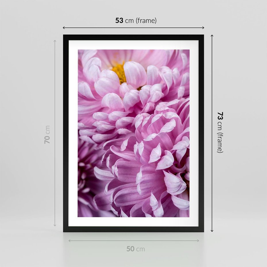 Plakat w ramie 50x70 - Fioletowy zawrót głowy - kwiat, różowy kwiat - rama czarna