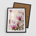 Plakat w ramie 50x70 - Urok Magnolii - magnolie, kwiaty - rama czarna