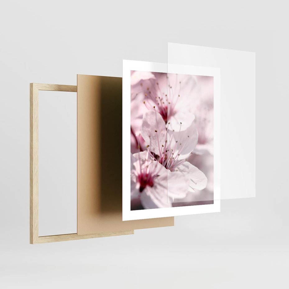 Plakat w ramie 40x50 - Kwitnąca Wiśnia - kwiaty, kwitnąca - rama drewno