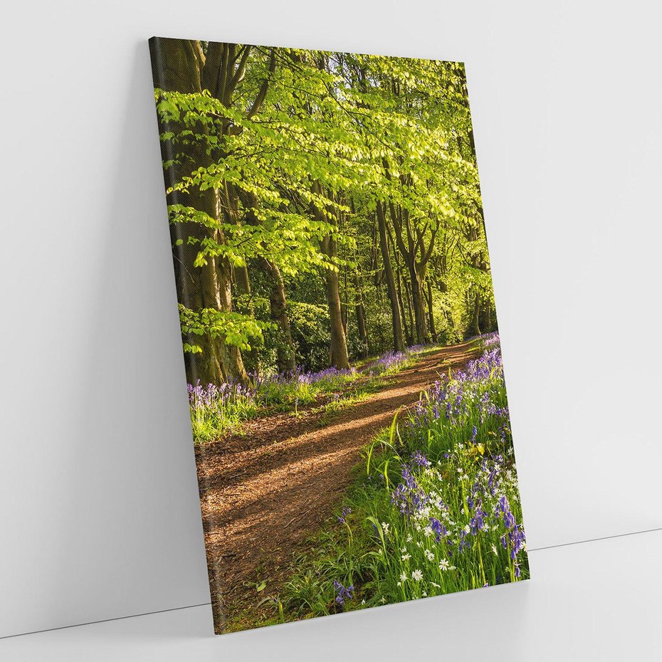 Obraz na płótnie 80x120 - Magia lasu: Drzewa w tajemniczej otoczce - las, drzewa