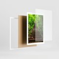 Plakat w ramie 50x70 - Lasowa ścieżka pełna tajemnic - ścieżka, schody - rama biała