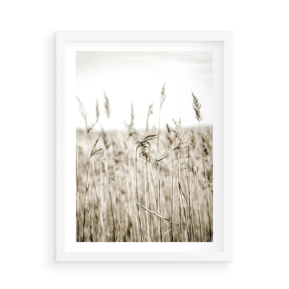 Plakat w ramie 50x70 - Nostalgiczny Pejzaż - suche trawy, pole - rama biała