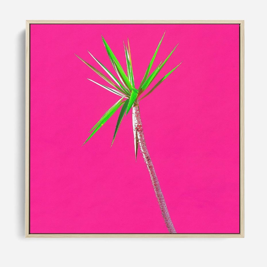 Obraz w ramie 50x50 - Retro Stylizacja - palma, liście - rama drewno