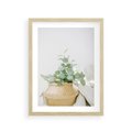 Plakat w ramie 30x40 - Eukaliptusowa Świeżość - eukaliptus, liście w koszu z wikliny - rama drewno