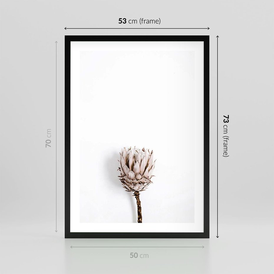 Plakat w ramie 50x70 - Suszona Roślina na Białym Tle - minimalizm, suszona roślina - rama czarna