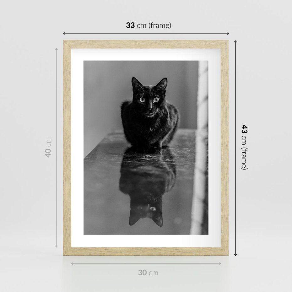 Plakat w ramie 30x40 - Kocie Oczy - kot, czarno białe zdjęcie - rama drewno