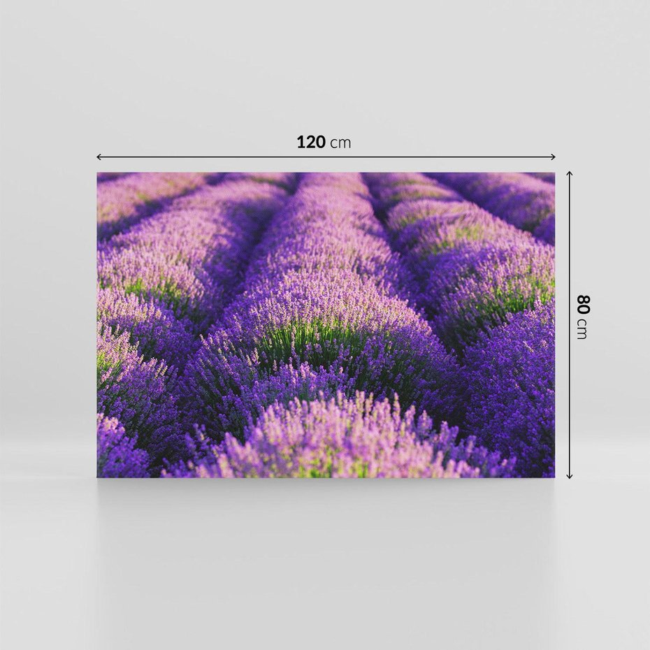 Obraz na płótnie 120x80 - Malownicze Pole Lawendy - lawenda, pole