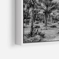 Obraz w ramie 80x80 - Mroczna Ścieżka Tropików - czarno biała fotografia, ścieżka pośród palm - rama biała
