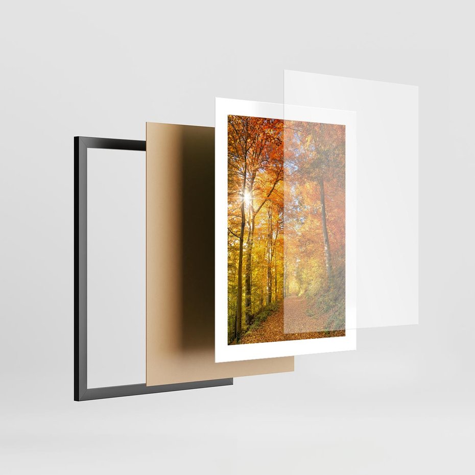 Plakat w ramie 30x40 - Złote barwy jesiennego lasu - las, jesień - rama czarna