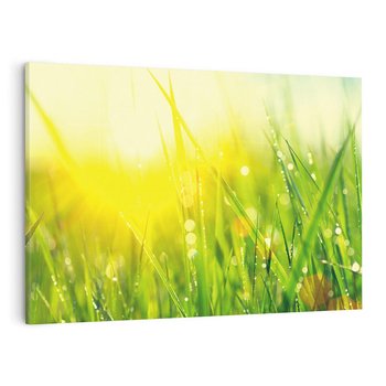 Obraz na płótnie 120x80 - Piękno Poranka - łąka, trawa
