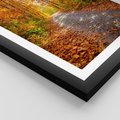 Plakat w ramie 30x40 - Kolorowe drzewa na ścieżce jesieni - las, jesień - rama czarna
