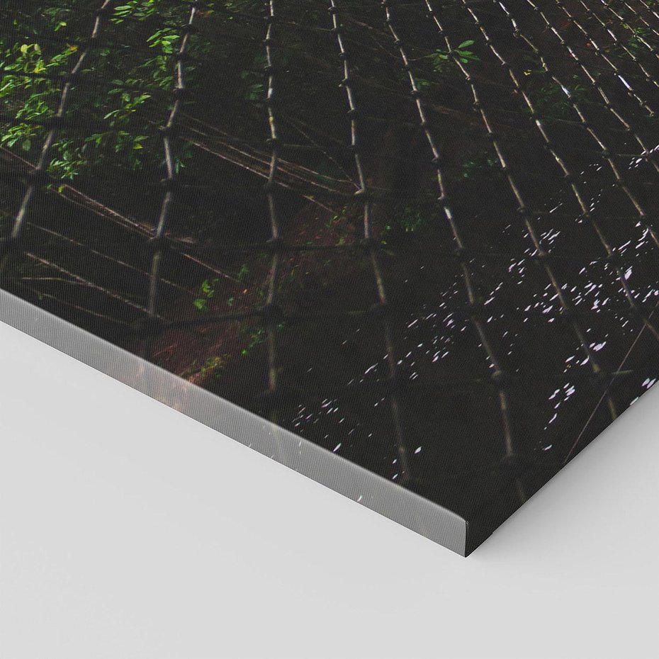 Obraz na płótnie 120x60 - Most linowy w lesie - most, linowy