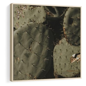 Obraz w ramie 80x80 - Urok Egzotyki - kaktusy, boho - rama drewno