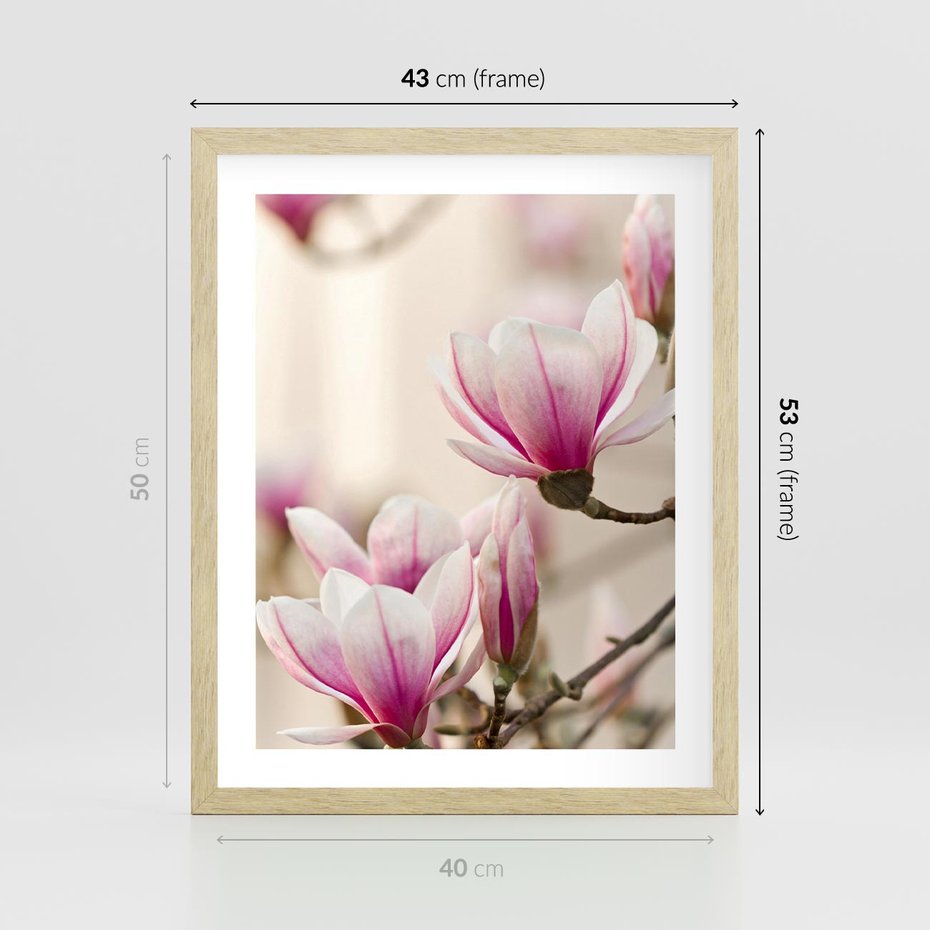 Plakat w ramie 40x50 - Urok Magnolii - magnolie, kwiaty - rama drewno
