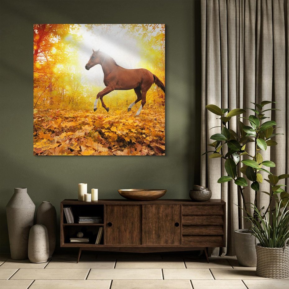 Obraz na płótnie 60x60 - Moc konia w zachodzie słońca - koń, słońce