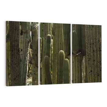 Obraz na płótnie 120x80 - Wyjątkowy Klimat Boho - kaktusy, pustynia