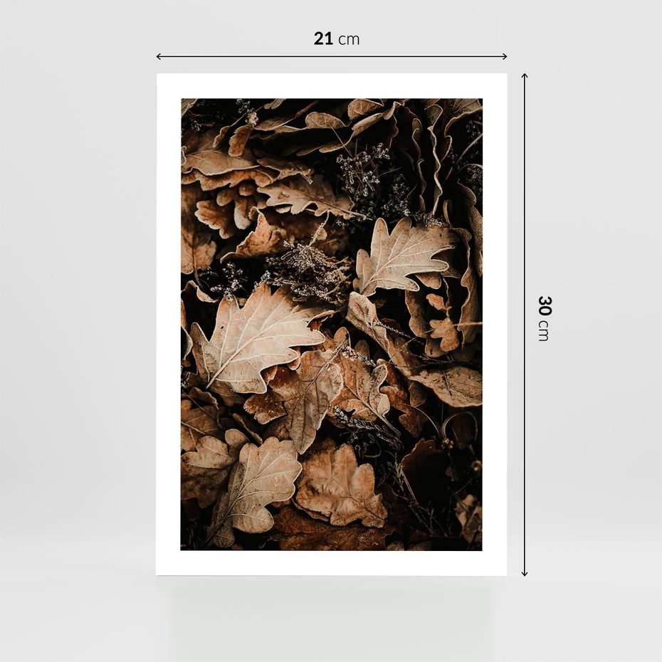 Plakat bez ramy 21x30 - Jesienna Melodia: Liście i Szyszki - suche liście, szyszki