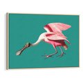 Obraz w ramie 70x50 - Różowy Ptak Wyobraźni - różowy ptak, wyobraźnia - rama drewno