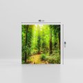 Obraz na płótnie 40x40 - Współistnienie z naturą - drzewa, las
