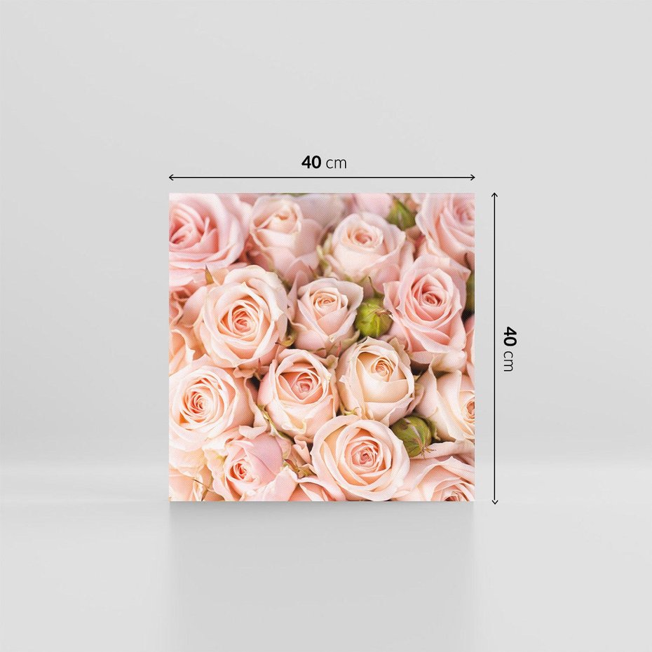 Obraz na płótnie 40x40 - Delikatność róż - piękno natury - róże, kwiaty