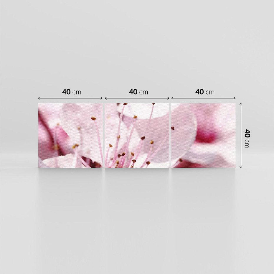 Obraz na płótnie 120x40 - Kwitnąca Wiśnia - kwiaty, kwitnąca