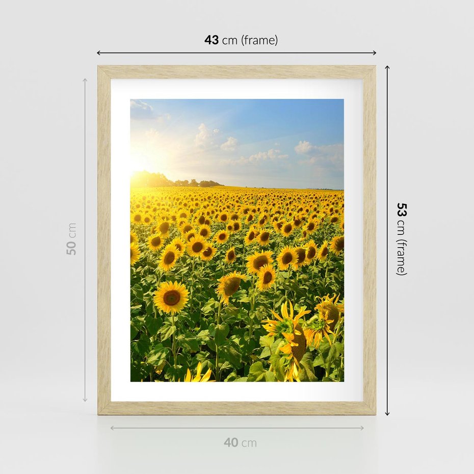 Plakat w ramie 40x50 - Idylla na łące słoneczników - łąka, słoneczniki - rama drewno