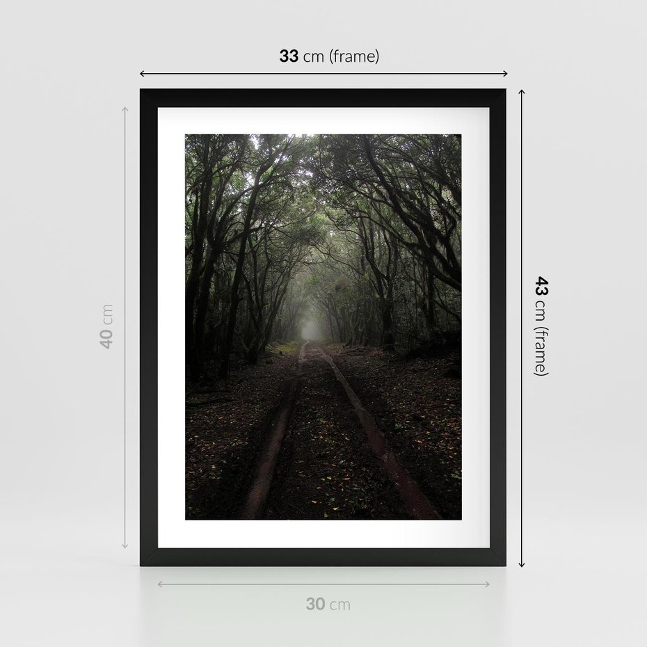 Plakat w ramie 30x40 - Urok Drogi - las, droga - rama czarna