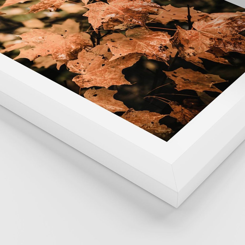 Plakat w ramie 40x50 - Ciepło Jesieni - jesienne pomarańczowe liśćie, jesień - rama biała