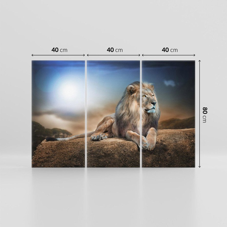 Obraz na płótnie 120x80 - Król sawanny - lew, kamień