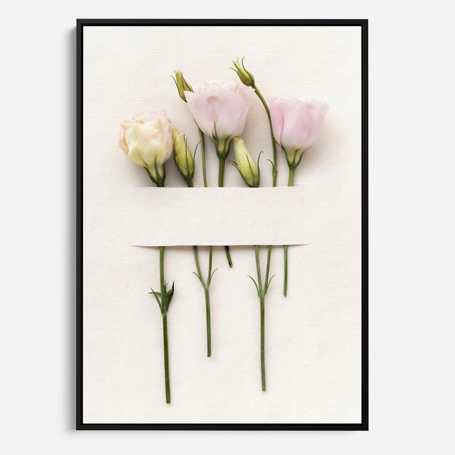 Obraz w ramie 50x70 - Białe kwiatowe uniesienia - białe, kwiaty - rama czarna