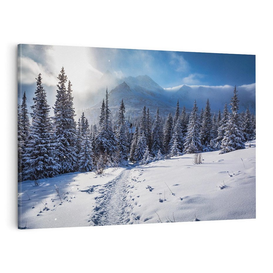 Obraz na płótnie 120x80 - Zimowe góry w lesie - góry, zima
