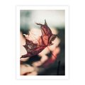 Plakat bez ramy 21x30 - Liść w Jesieni - jesienny liść, czerwony