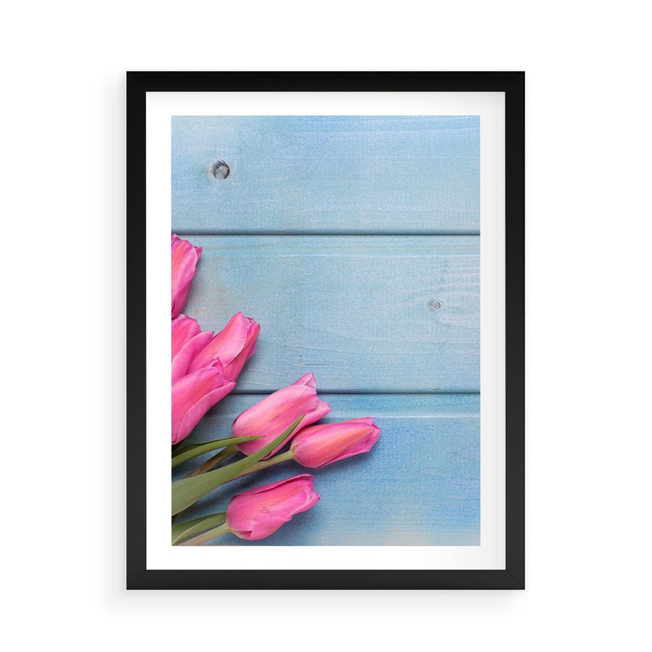 Plakat w ramie 50x70 - Piękno w pełnym rozkwicie - kwiaty, tulipany - rama czarna