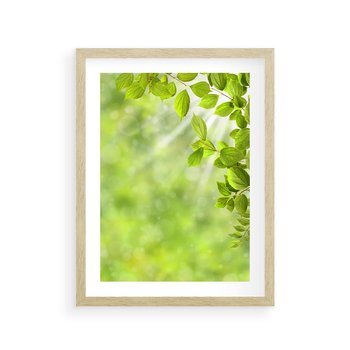 Plakat w ramie 50x70 - Zielone liście natury - liści, zieleń - rama drewno